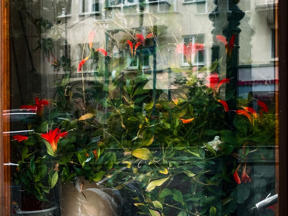 Фотография автора Яна Сидорова