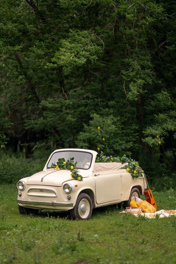 Фотография автора Никита Ткачев