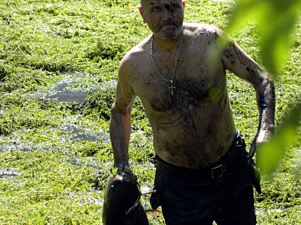 Фотография автора Сергей Рапопорт