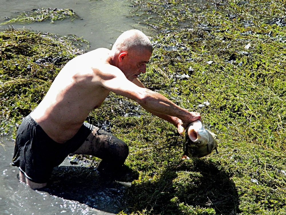 Фотография автора Сергей Рапопорт