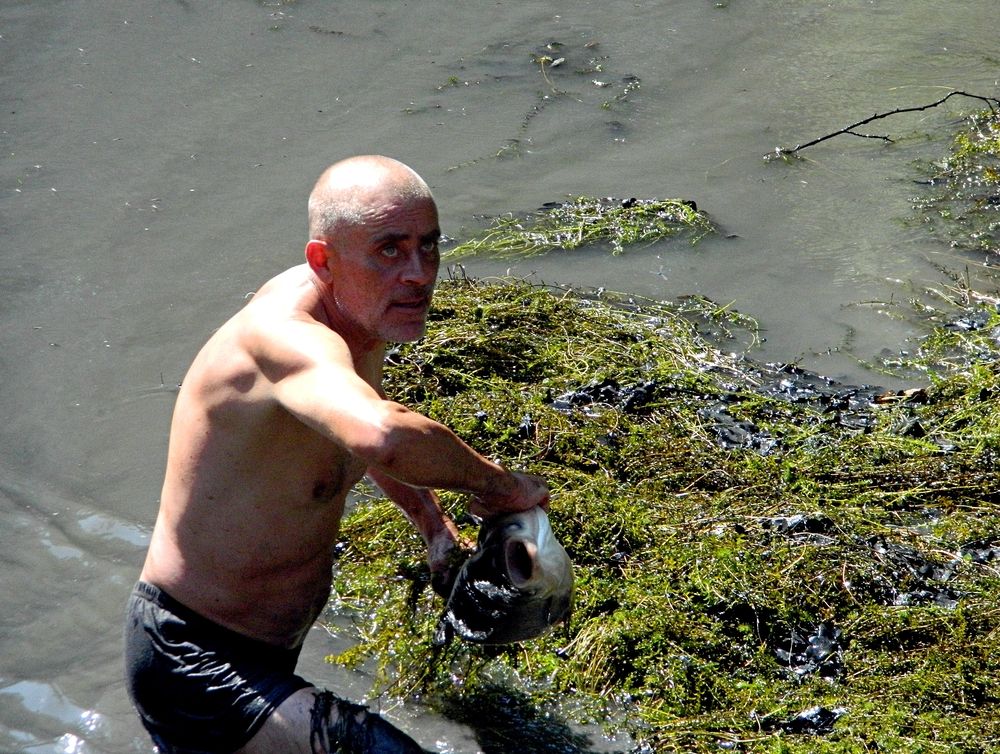 Фотография автора Сергей Рапопорт