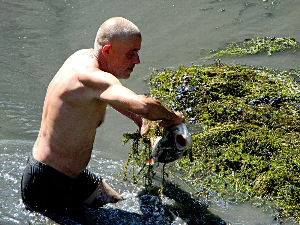 Фотография автора Сергей Рапопорт