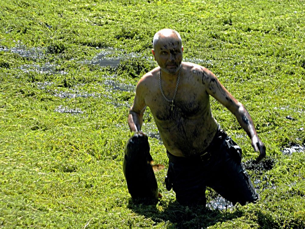 Фотография автора Сергей Рапопорт