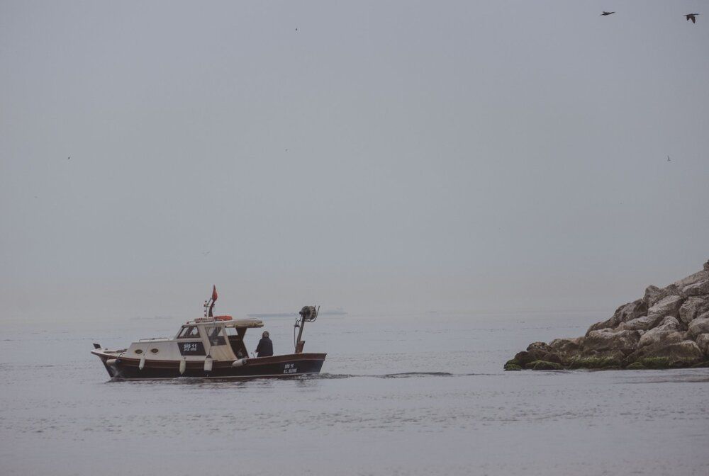 Photograph by Янина Найденцева