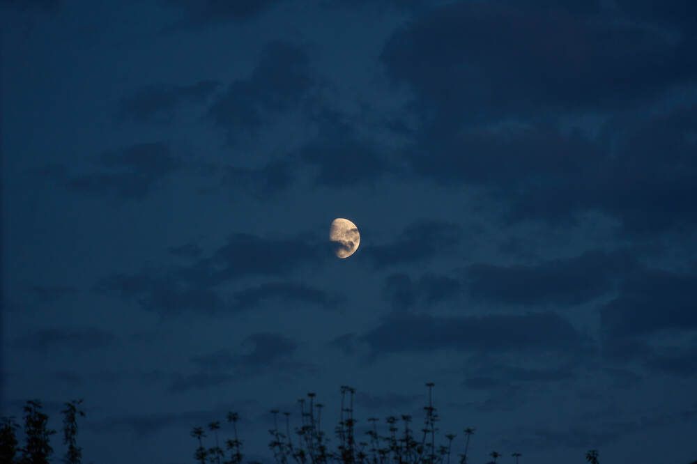 Photograph by Dana Korolkova