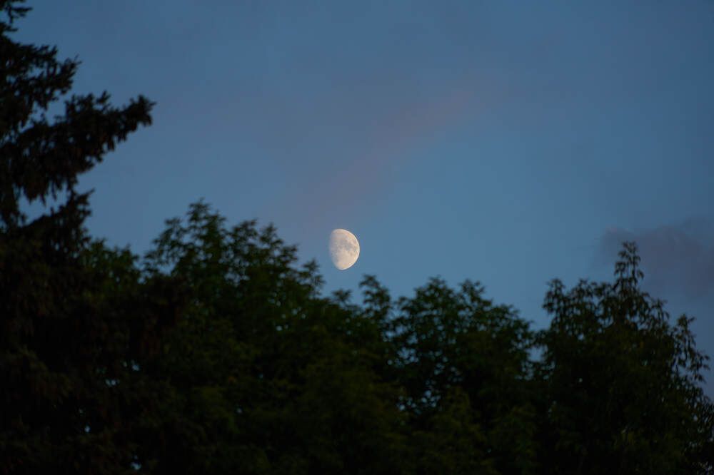 Photograph by Dana Korolkova