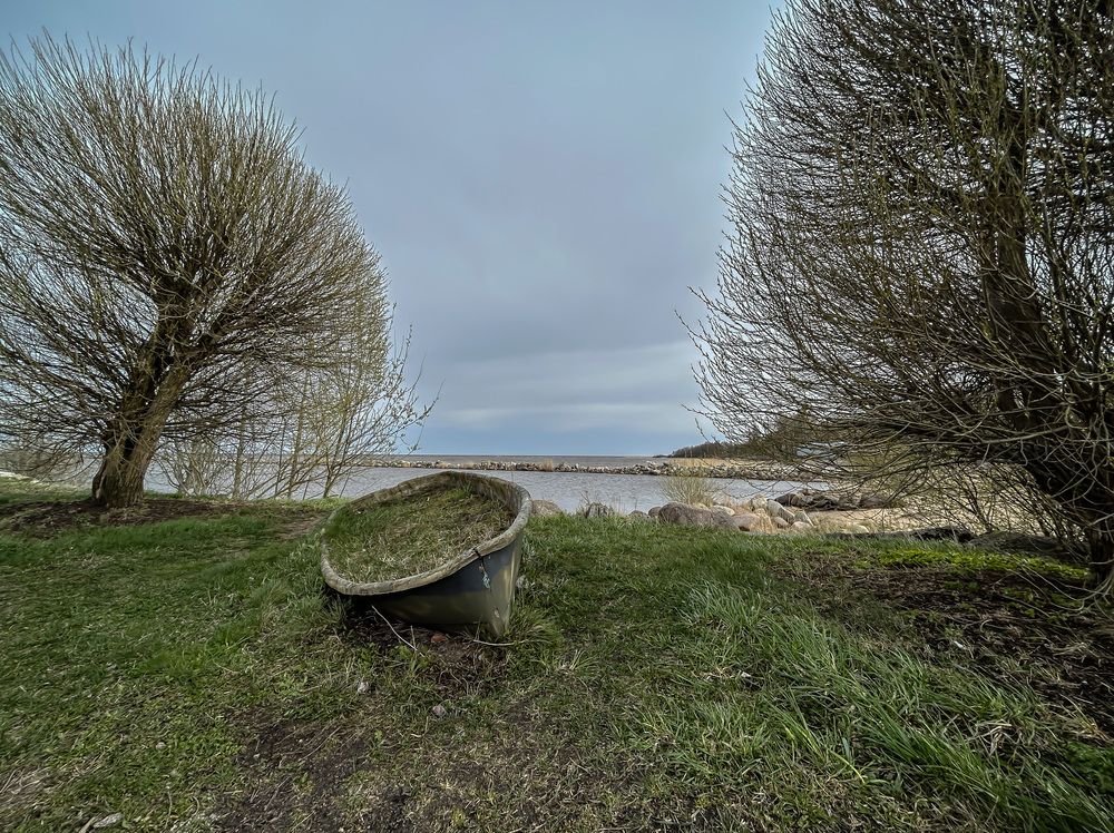 Photograph by Дмитрий Захаров