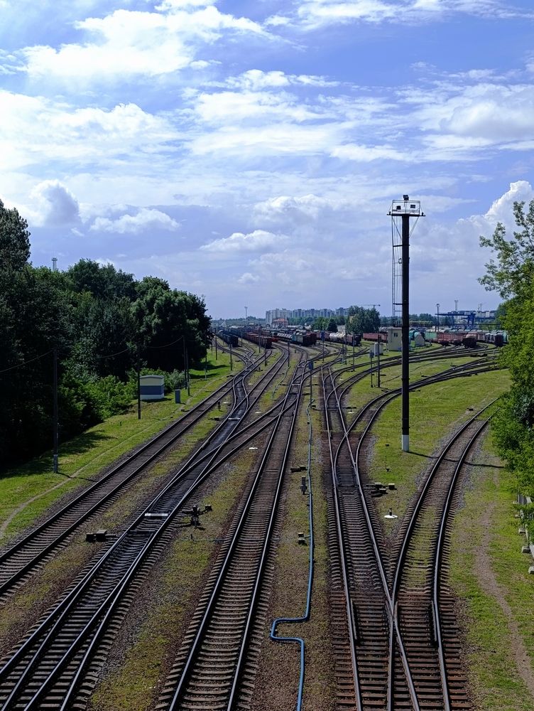 Фотография автора Светлана Таркан