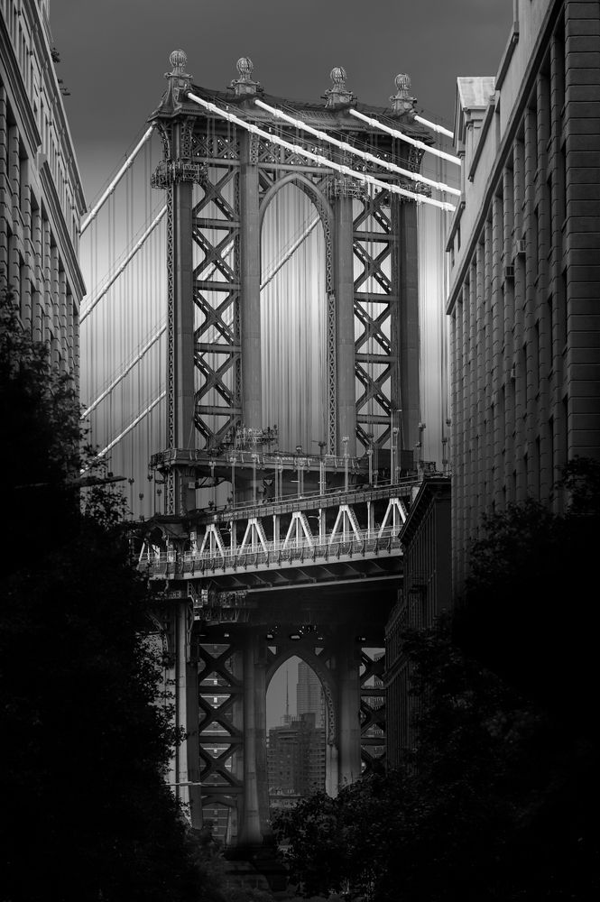 Photograph by Austin Bueno