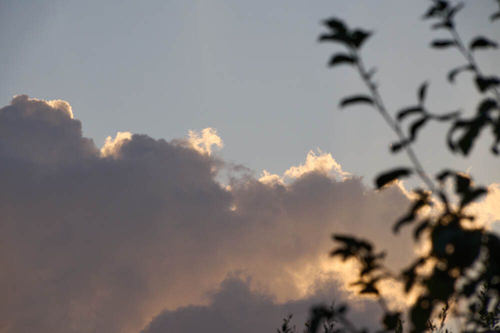 Photograph by Dana Korolkova