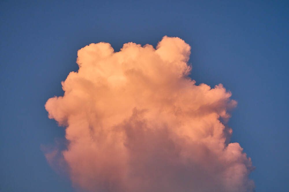 Photograph by Dana Korolkova