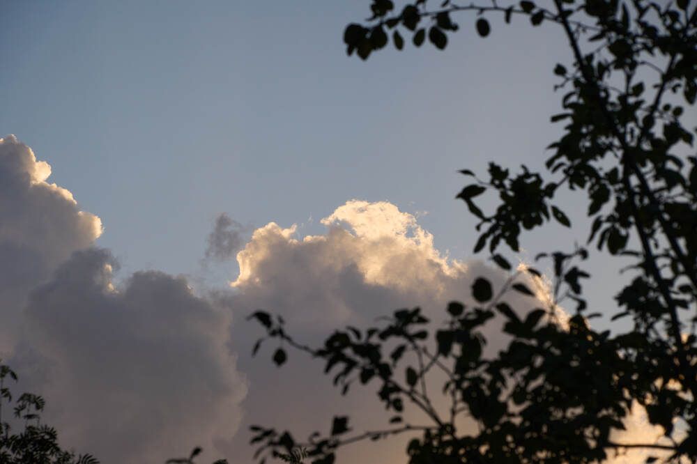 Photograph by Dana Korolkova