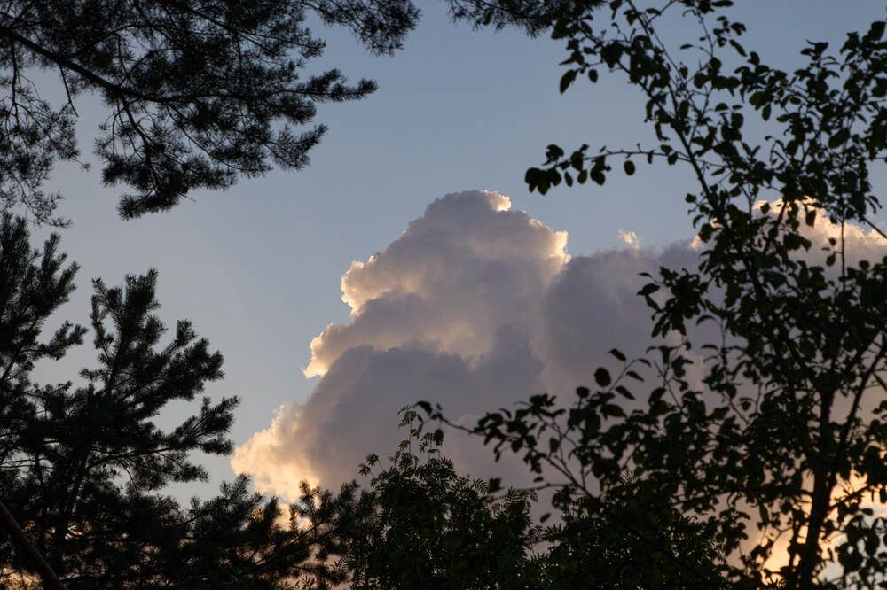 Photograph by Dana Korolkova