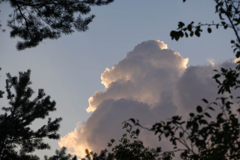 Photograph by Dana Korolkova