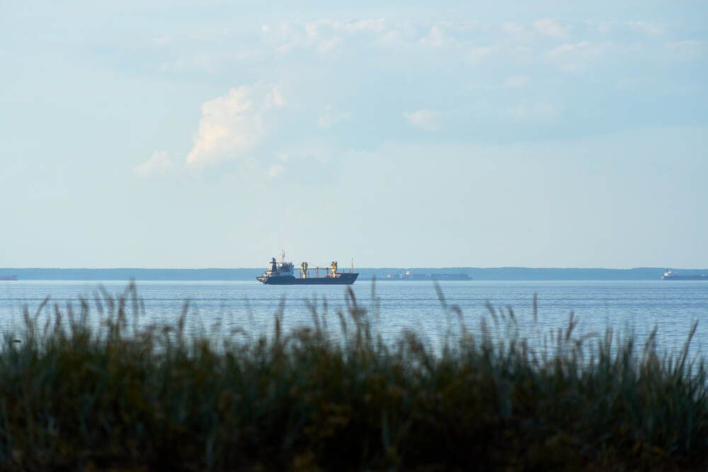 Photograph by Dana Korolkova