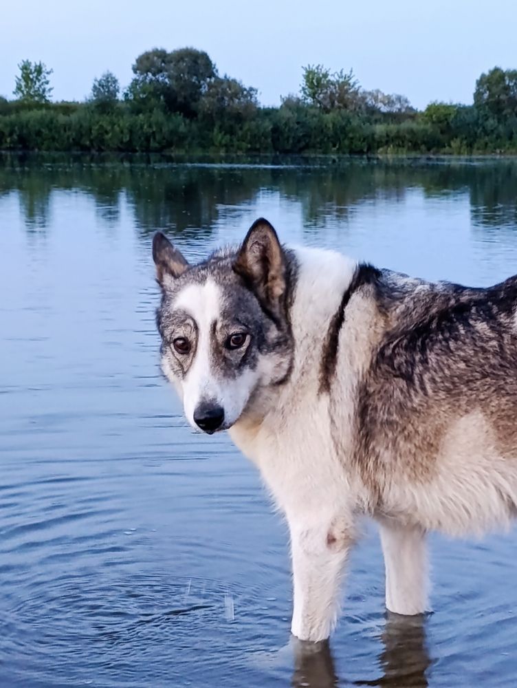 Фотография автора Светлана Таркан