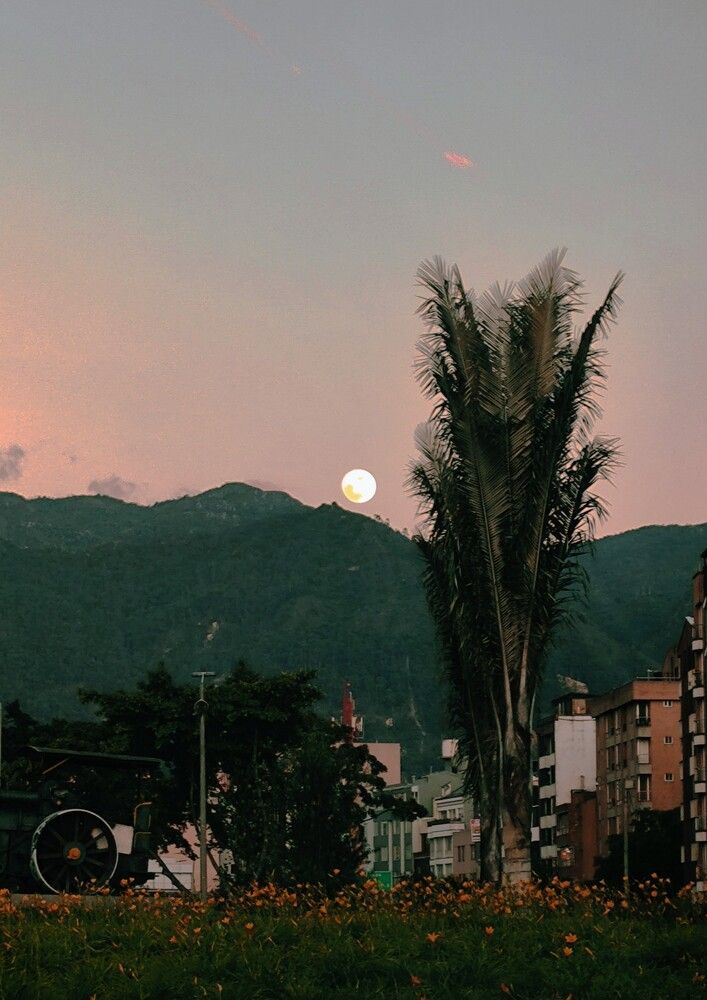 Фотография автора Roger Laverde