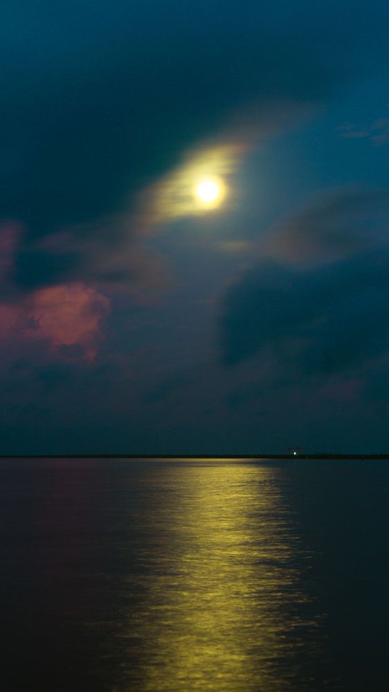 Photograph by Tuấn Bùi Quang