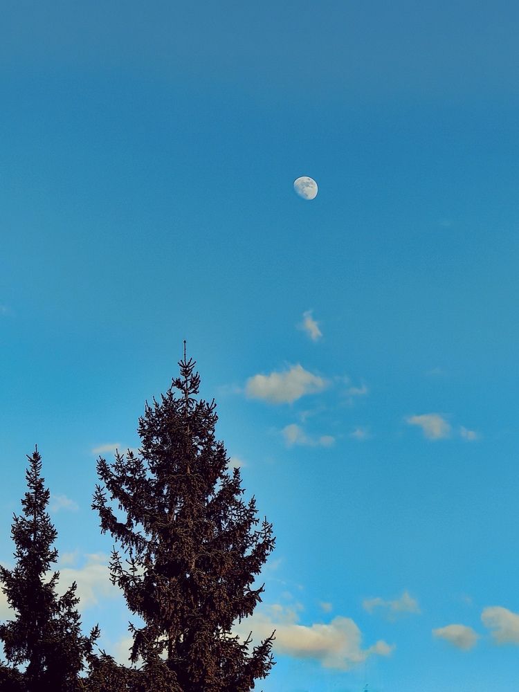 Photograph by Оксана Абакумова