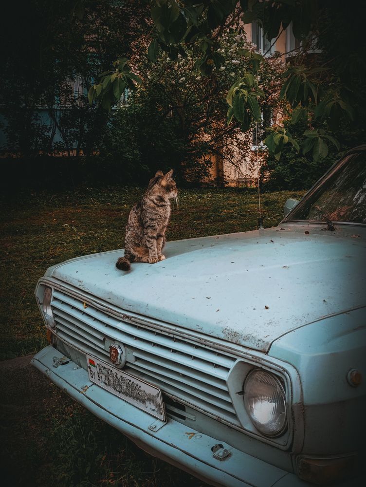 Фотография автора Светлана Таркан