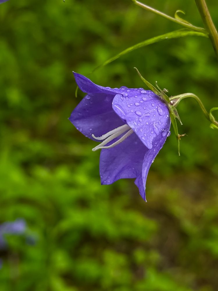 Photograph by Михаил Сорокин