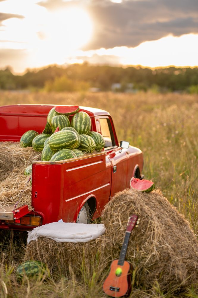 Фотография автора Никита Ткачев