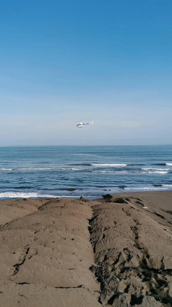 Photograph by Закурина Маргарита