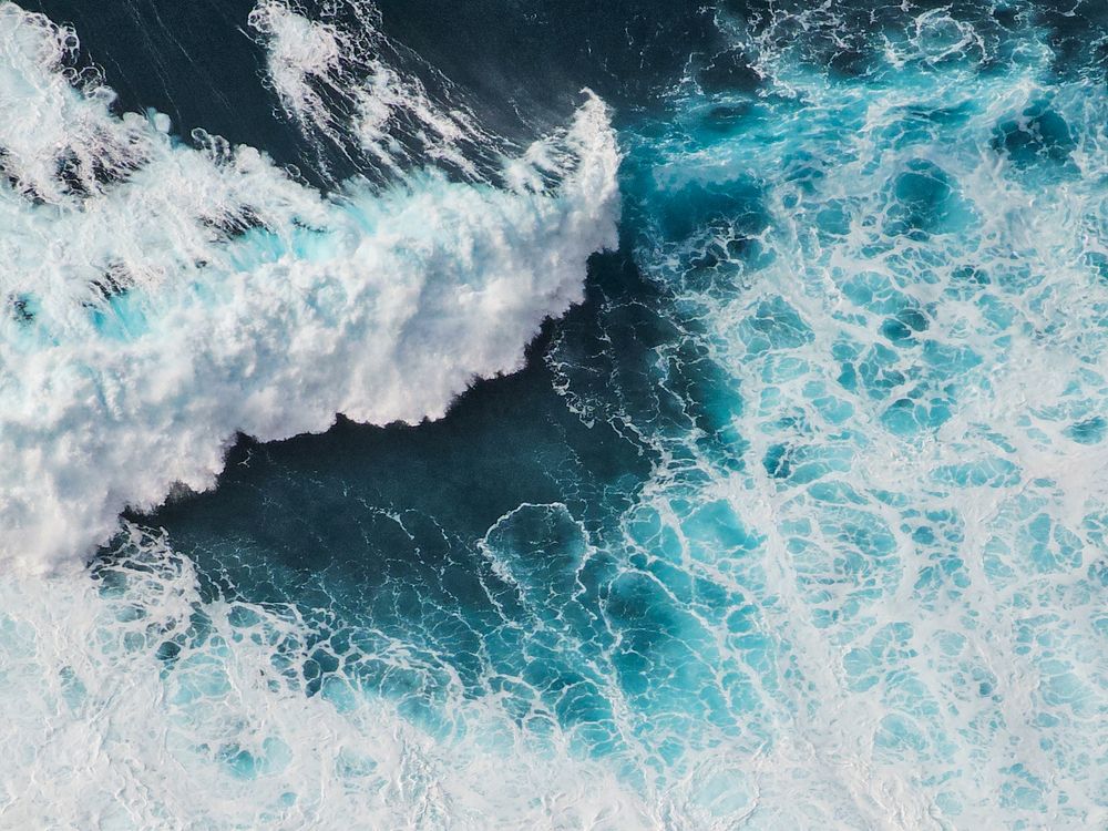 Photograph by Javier Hernández