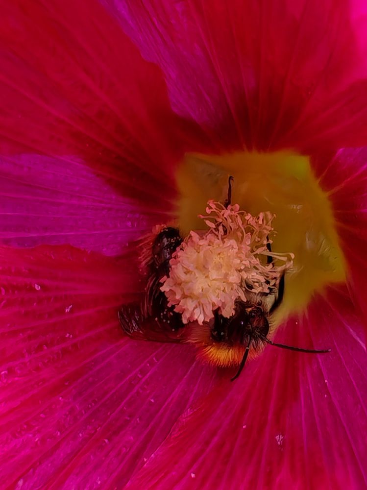Фотография автора Евгения Бородина