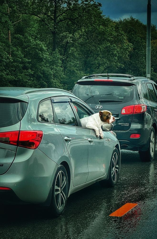 Photograph by Юлия Порфирьева