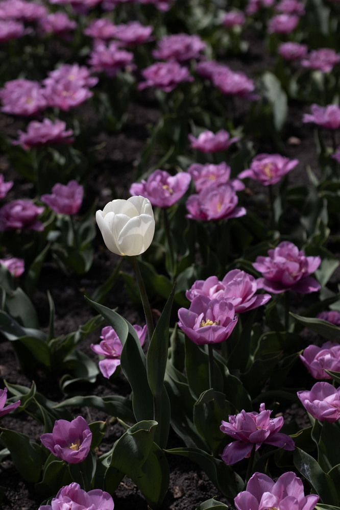 Фотография автора Ксения Золотарь