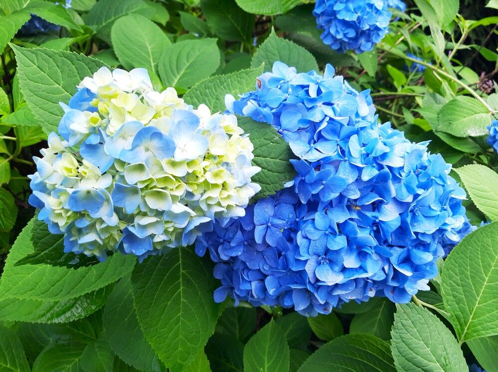 Фотография автора Галина Глазкова