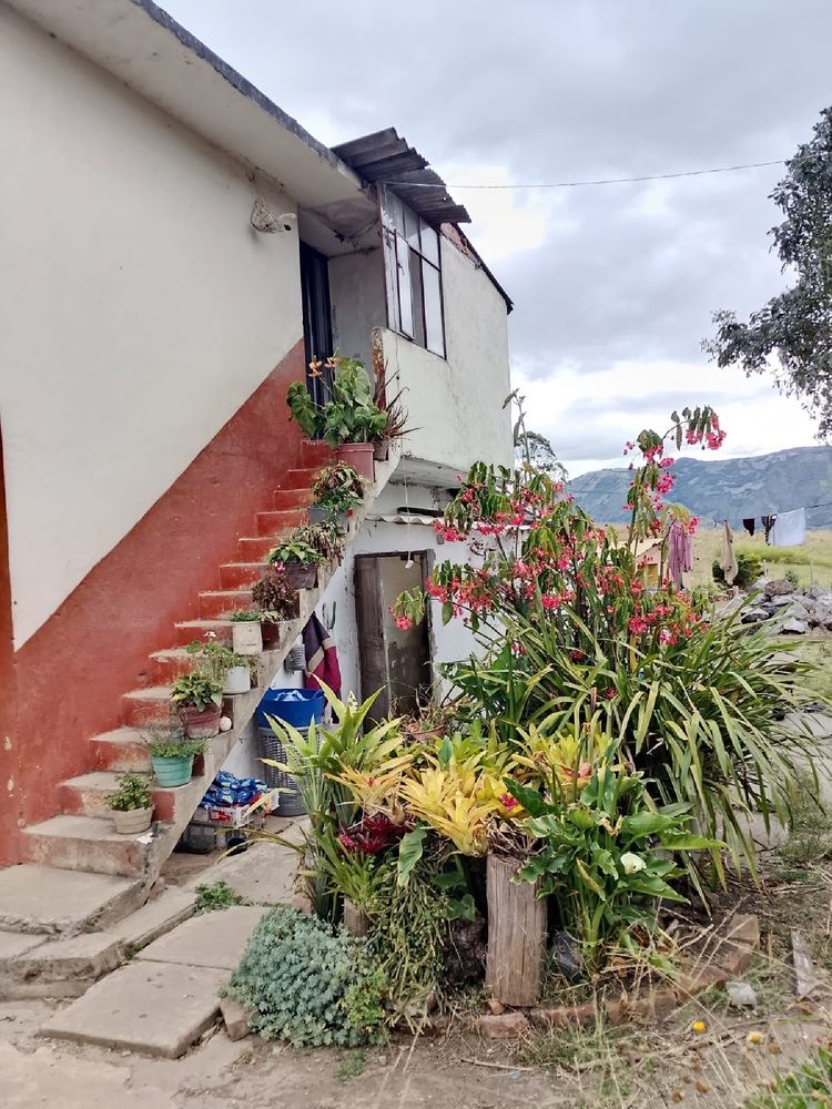 Фотография автора Hector Euclides Cabrera Palacios