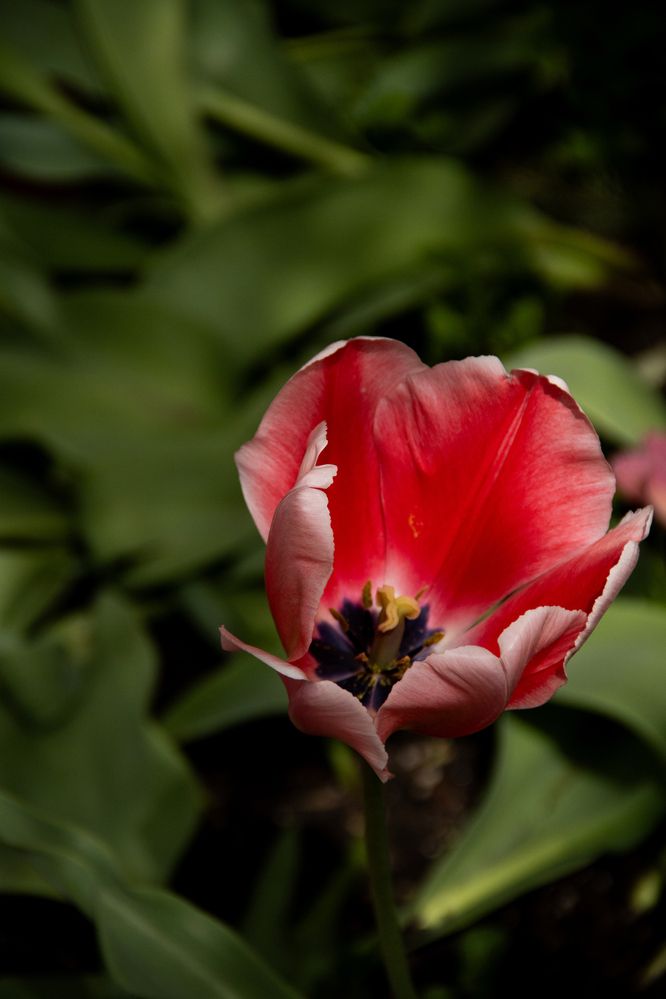 Фотография автора Ксения Золотарь