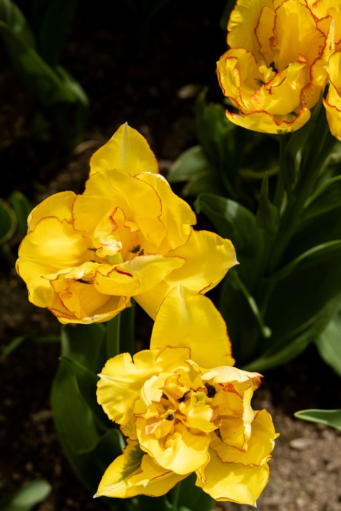 Фотография автора Ксения Золотарь