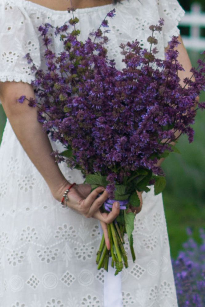 Photograph by Виорика Фоменко