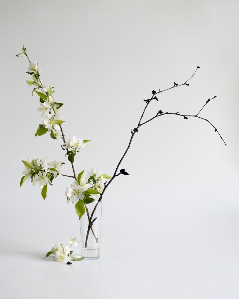 Photograph by Екатерина Пачина