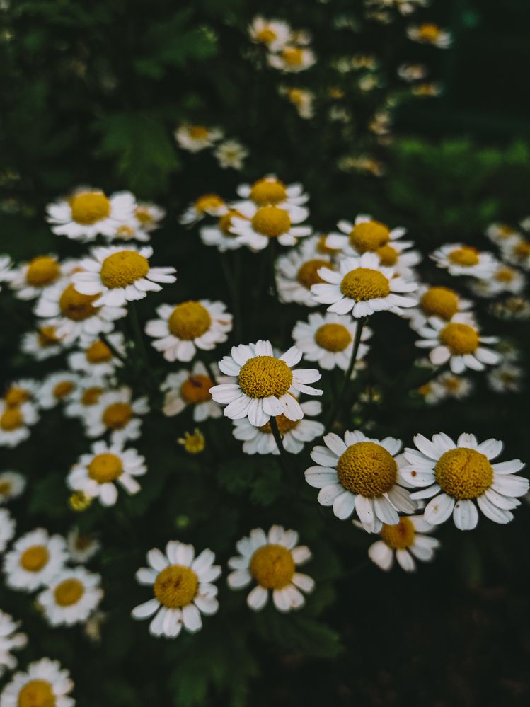 Фотография автора Евгения Бородина