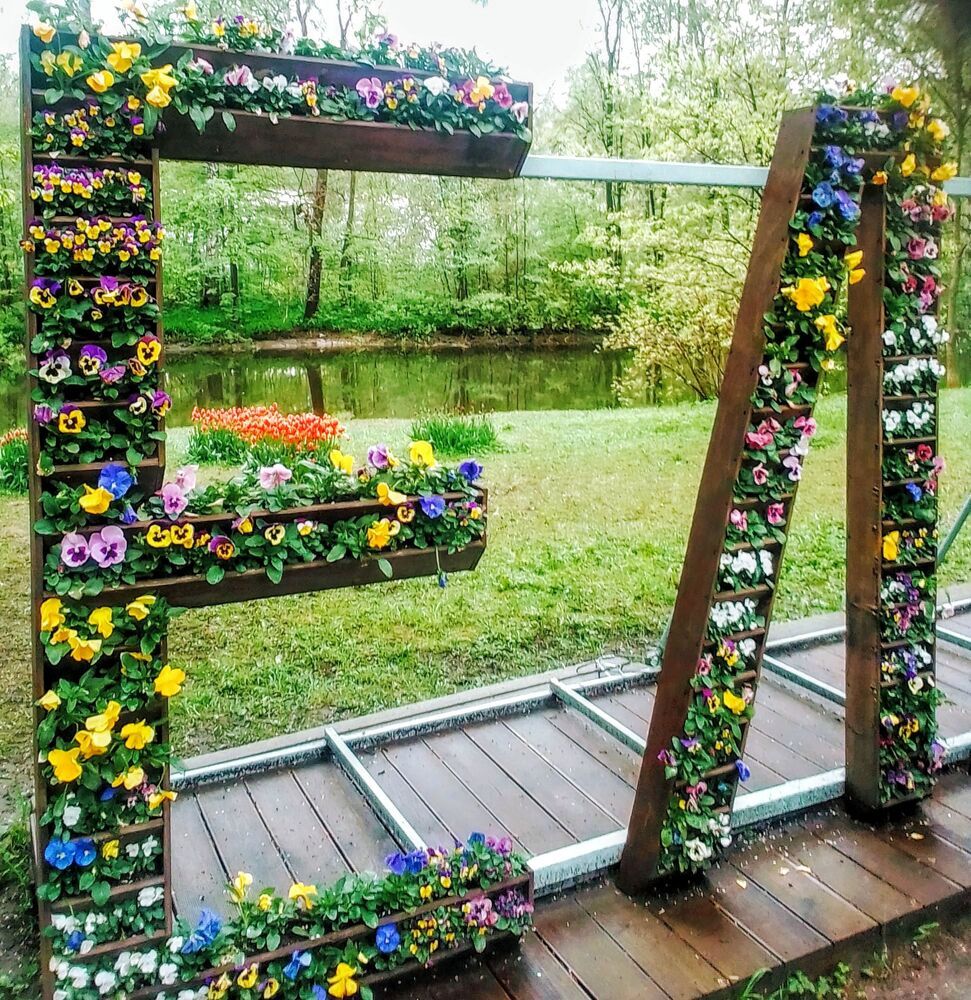 Фотография автора Irina Mihailovskaya