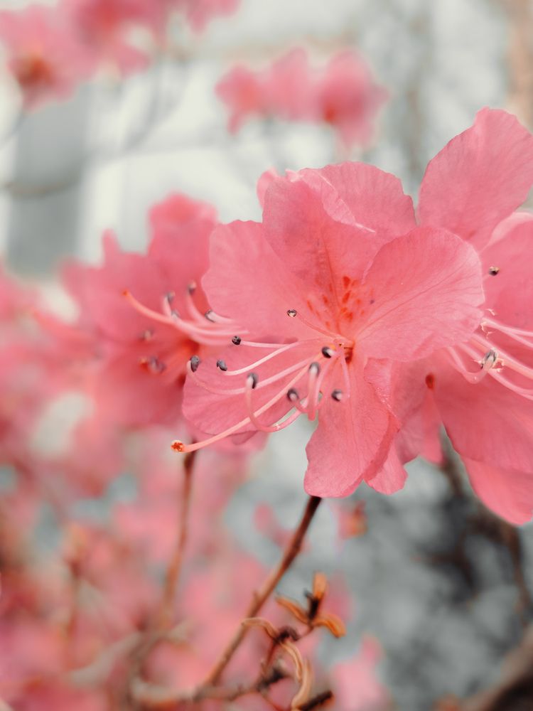 Фотография автора Кристина Присяжная