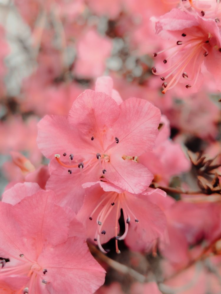 Фотография автора Кристина Присяжная