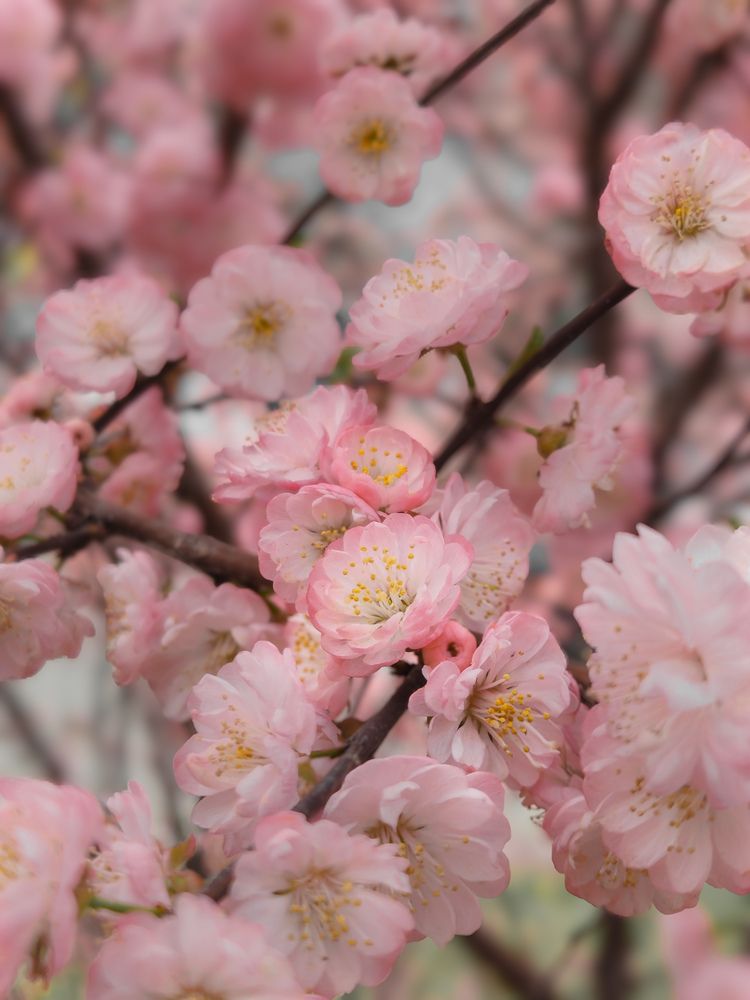 Фотография автора Кристина Присяжная