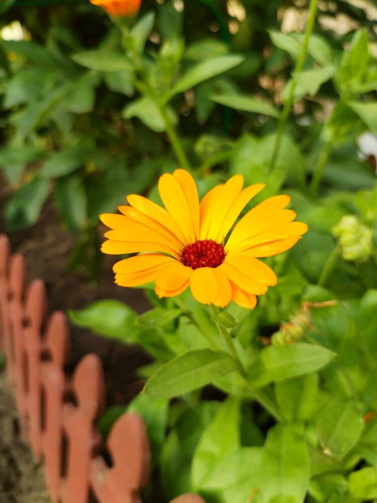 Фотография автора Юлия Ю.