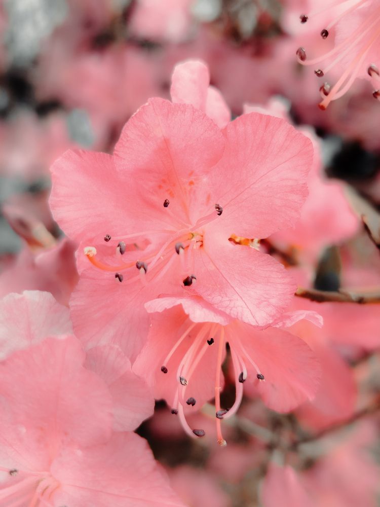 Фотография автора Кристина Присяжная