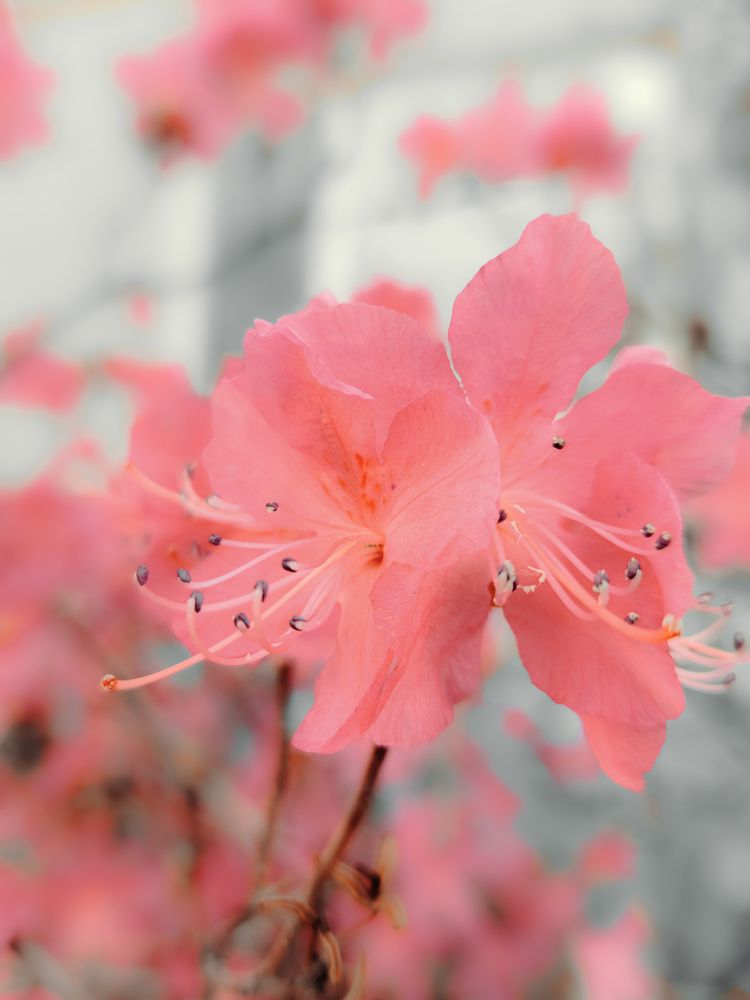 Фотография автора Кристина Присяжная