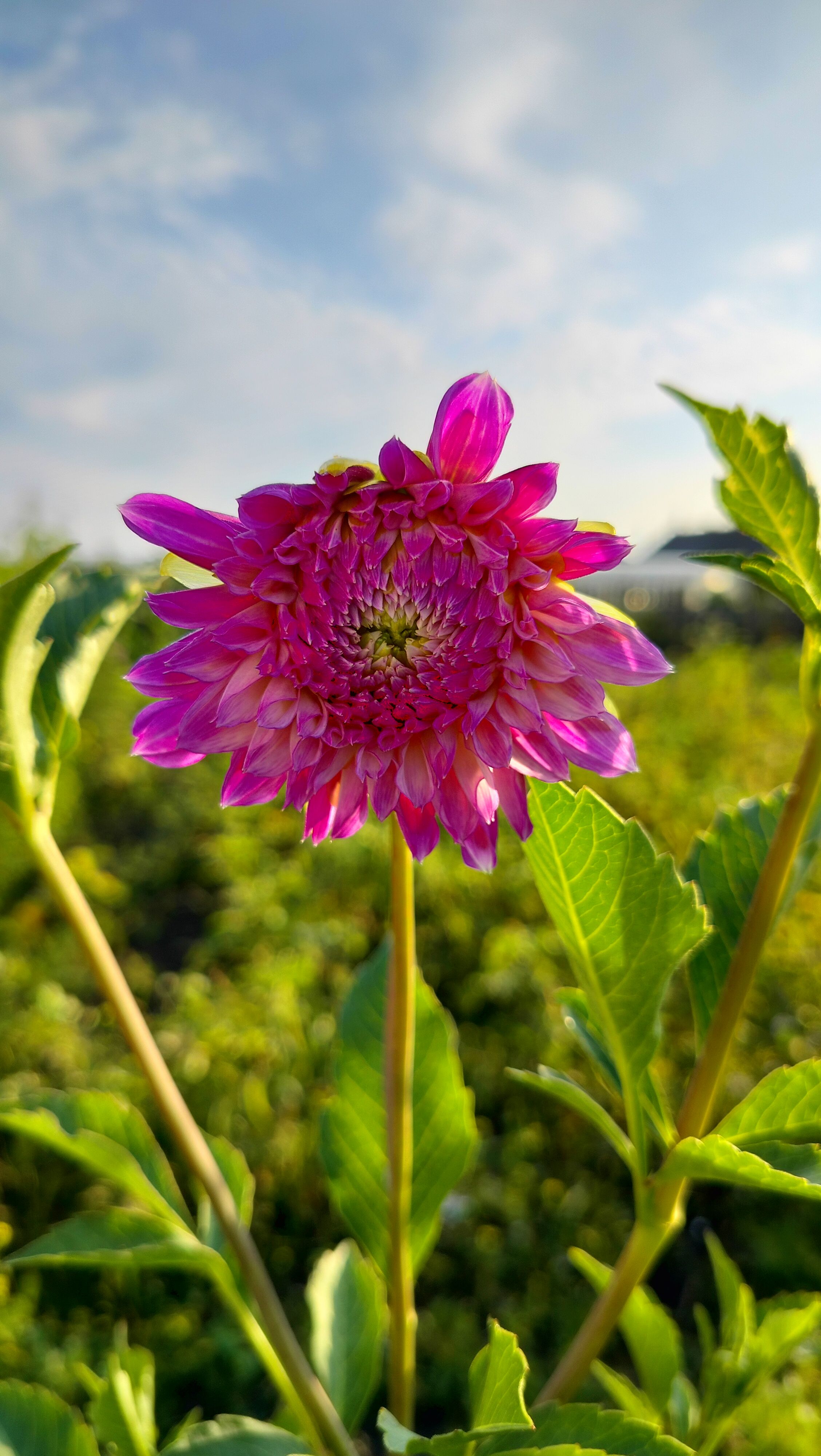Фотография автора Анастасия Горбачева