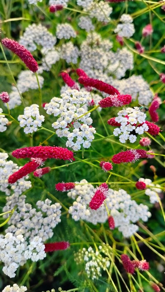 Фотография автора Анастасия Горбачева