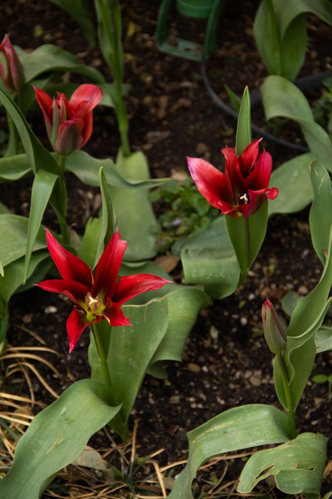 Фотография автора Ксения Золотарь