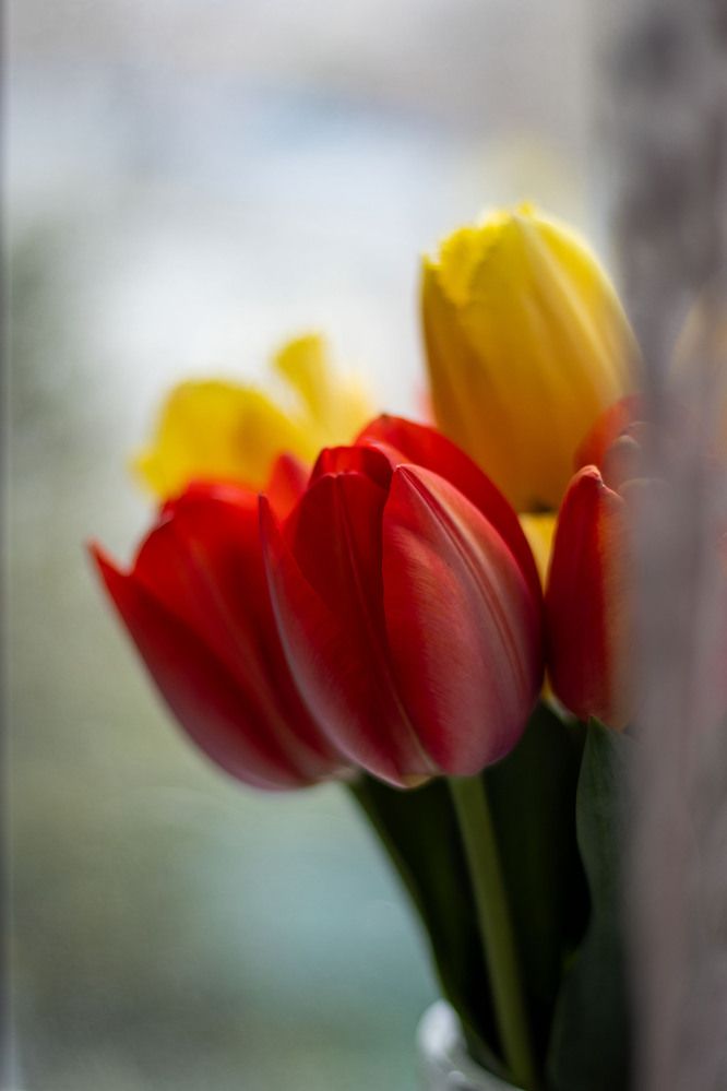 Фотография автора Ксения Золотарь