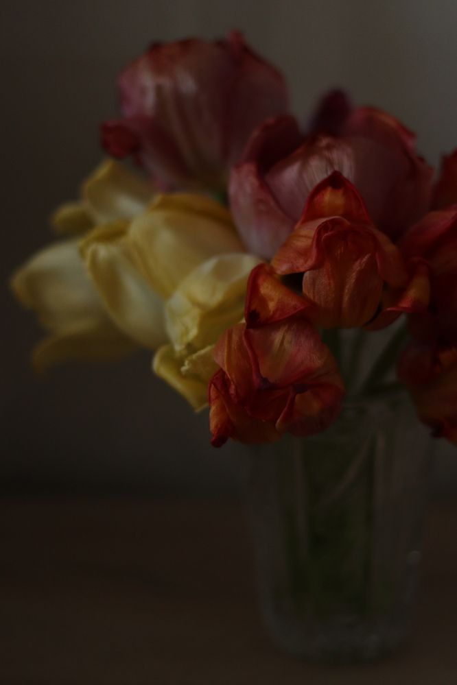 Фотография автора Ксения Золотарь